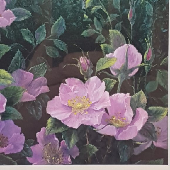 Framed Art Prints Alberta Wild Rose IV and Alberta Wild Rose VI by Elsie Baer - Picture 11 of 16